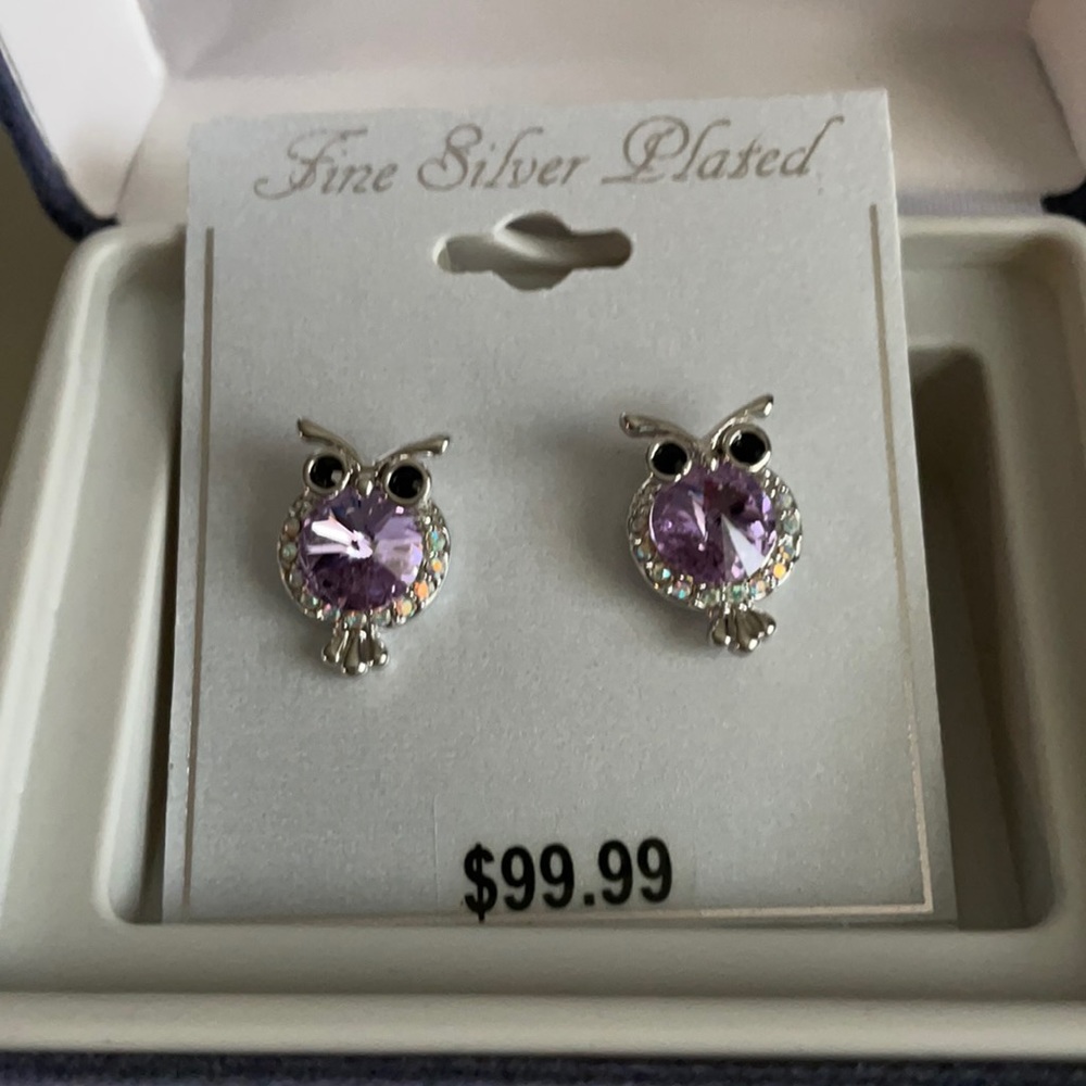 Sliver owl earrings